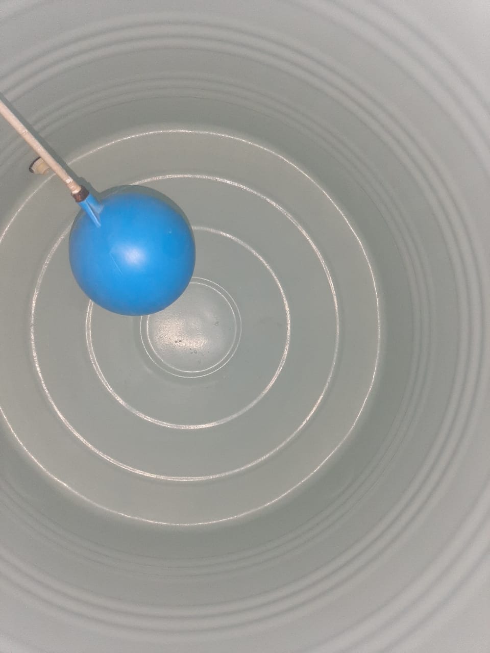 syntex